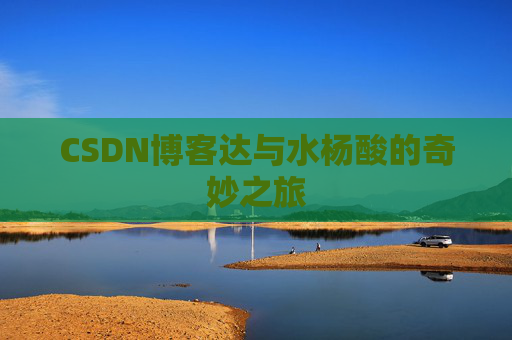 CSDN博客达与水杨酸的奇妙之旅